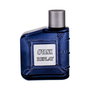 Replay Tank Eau de Toilette pour Hommes 100 ml