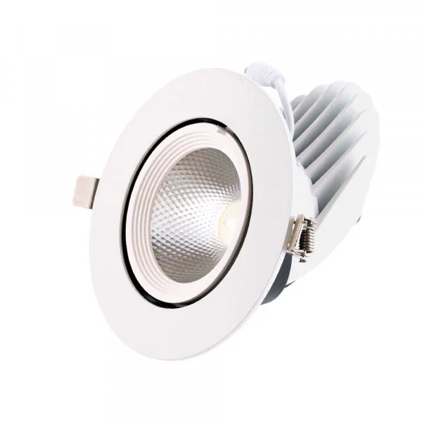 Downlight LED 24W 3600Lm 4000K Circulaire Orientable 40.000H [HO-COB-C-OR-24W-W]