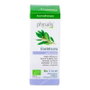 Physalis Essence Ravintsara Bio 10ml