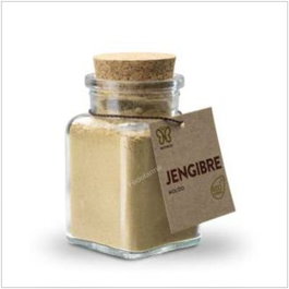 NATURCID Gingembre moulu BIO 60g