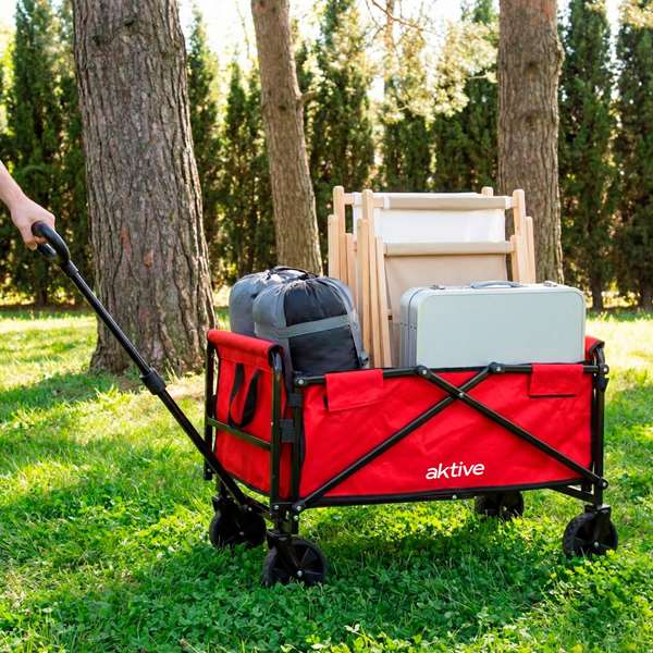 Color Baby Aktive-Carro Chariot Portatif Plage/Camping avec Porte 73x44x93cm