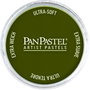 Panpastel 680.1 Jaune lumineux Vert extra oscuro