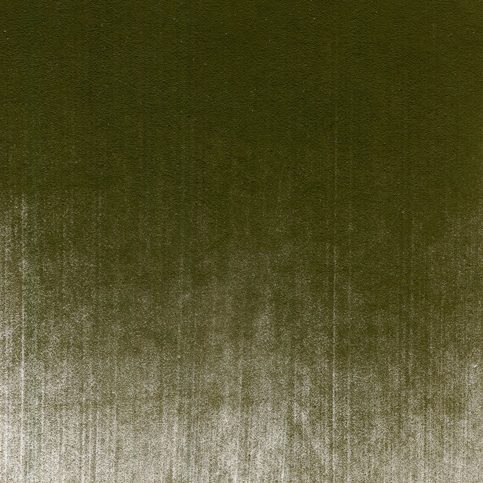 Panpastel 680.1 Jaune lumineux Vert extra oscuro Panpastel 680.1 Jaune lumineux Vert extra oscuro
