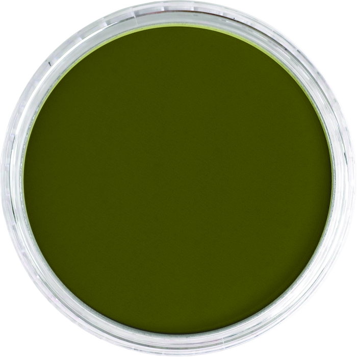 Panpastel 680.1 Jaune lumineux Vert extra oscuro Panpastel 680.1 Jaune lumineux Vert extra oscuro