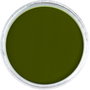 Panpastel 680.1 Jaune lumineux Vert extra oscuro