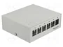 DELOCK Panneau de brassage Keystone 6 ports gris