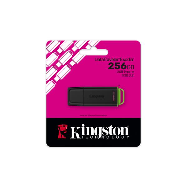 Kingston DataTraveler Exodia 256GB Clé USB 3.2 Gen 1 Noir