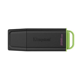 Kingston DataTraveler Exodia 256GB Clé USB 3.2 Gen 1 Noir