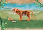 Playmobil Wiltopia Tigre - 71055 - Jouet Animal Sauvage Noir et Orange dès 4 Ans