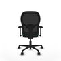 Piqueras y Crespo Chaise de Bureau Jorquera 3D036N0 Vert émeraude