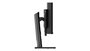 Lenovo ThinkVision P49w-30 - Écran PC 49" DQHD (5120 x 1440) IPS 60Hz, Ports USB-C/Thunderbolt 4, 178°/178°, Haut-parleurs