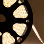 HO-220-120-50M-CW Ruban LED 220V Blanc Froid 120 LED/m 50m
