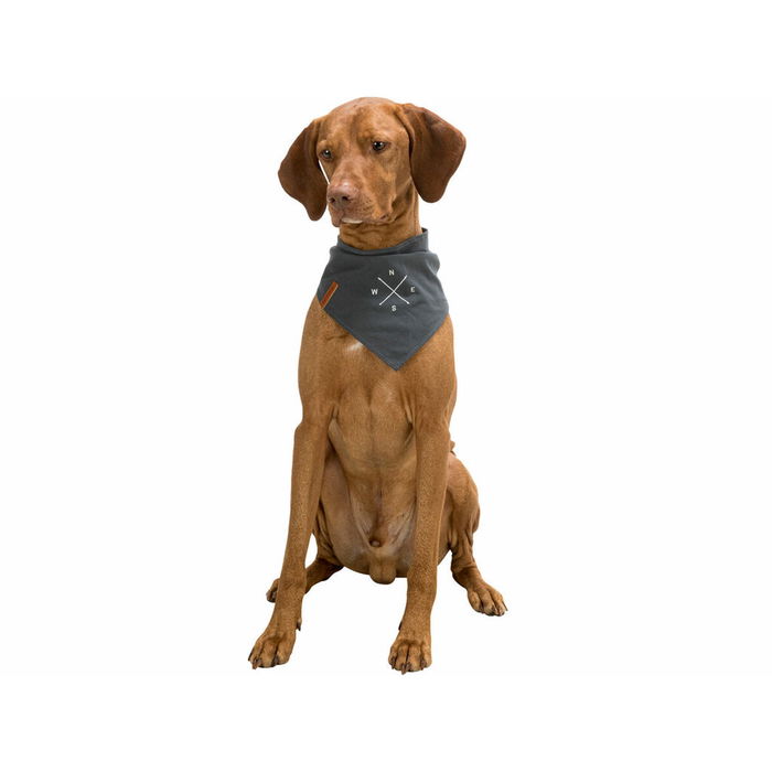 Écharpe Trixie Chien