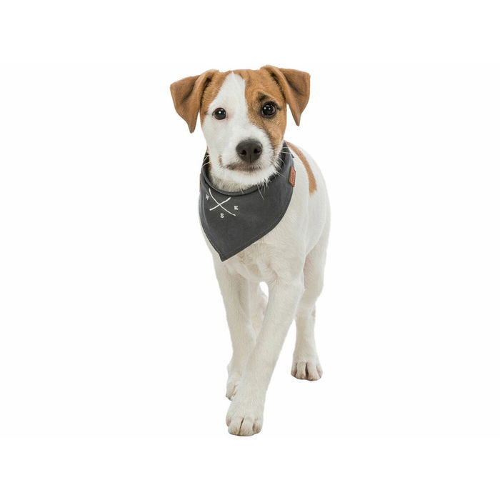 Écharpe Trixie Chien