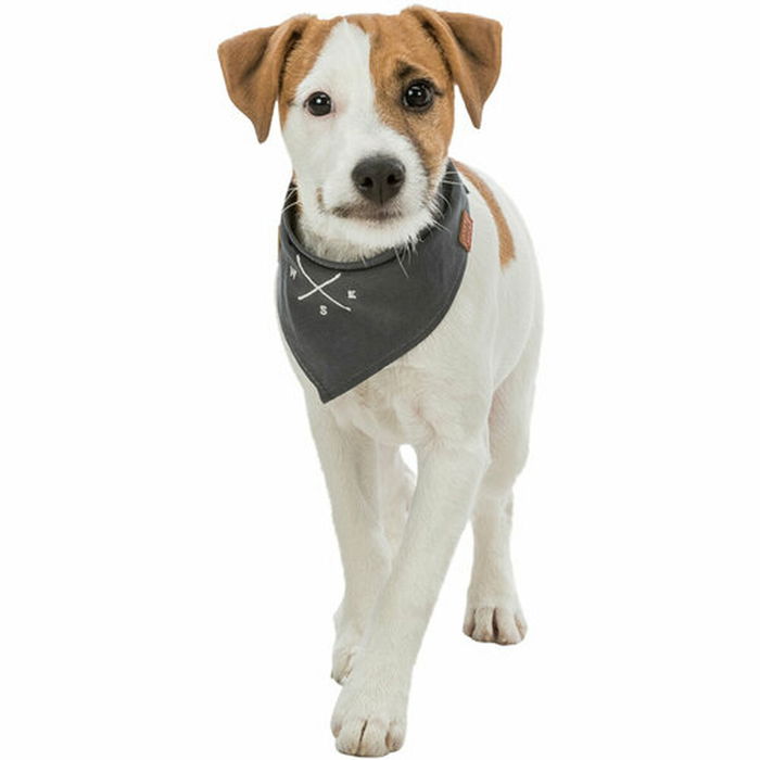 Écharpe Trixie Chien