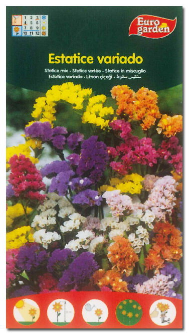 SEMILLAS FITO FLORES ESTATICE VARIADA=00630 (Caja de 10) SEMILLAS FITO FLORES ESTATICE VARIADA=00630 (Caja de 10)