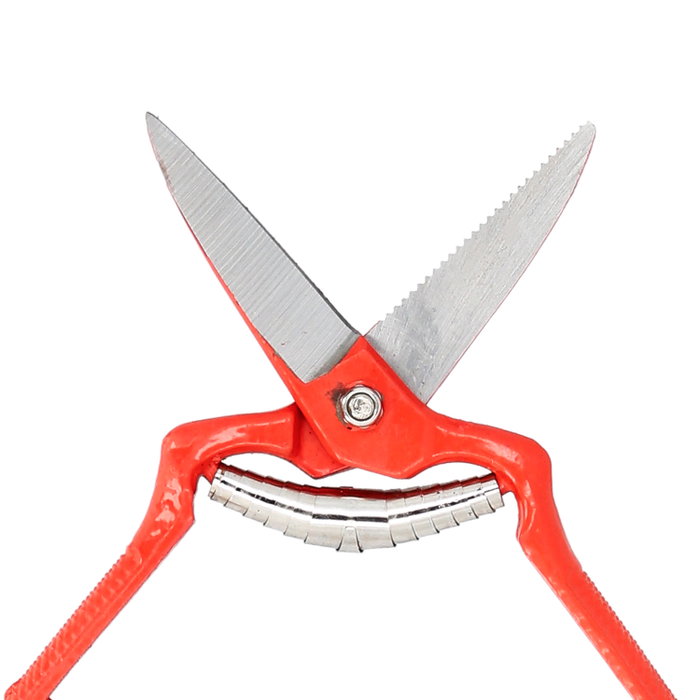 WOLFPACK LINEA PROFESIONAL Ciseaux de vendanges droits forgés 19 cm