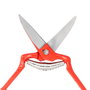 WOLFPACK LINEA PROFESIONAL Ciseaux de vendanges droits forgés 19 cm