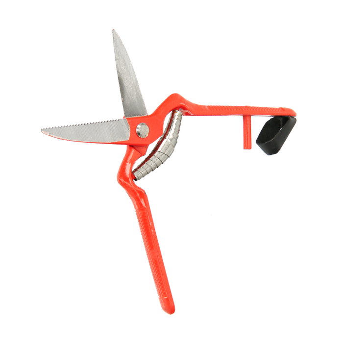 WOLFPACK LINEA PROFESIONAL Ciseaux de vendanges droits forgés 19 cm