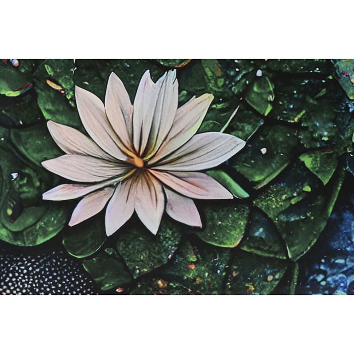 Cadre Home ESPRIT Imprimé 150 x 0,4 x 100 cm Cadre Home ESPRIT Imprimé 150 x 0,4 x 100 cm