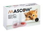 MASCOW Lot de 12 Mangeoires et Abreuvoirs en forme de Chat, 500 ml