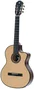 PLEYEL P800CE Guitare Classique Cutaway Électro-Acoustique 4/4 avec Prégampli