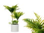 Ibergarden Maceta Cemento Grande Palmera Verde 22x40x22 cm (Set de 6)
