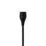 AKG C417PP Micro de Condensateur Minilavalier