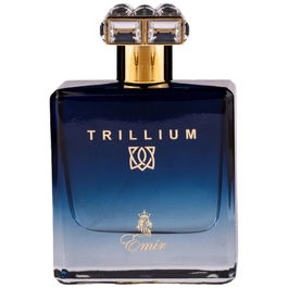 Emir Trillium Eau de Parfum pour Homme - 100 ml