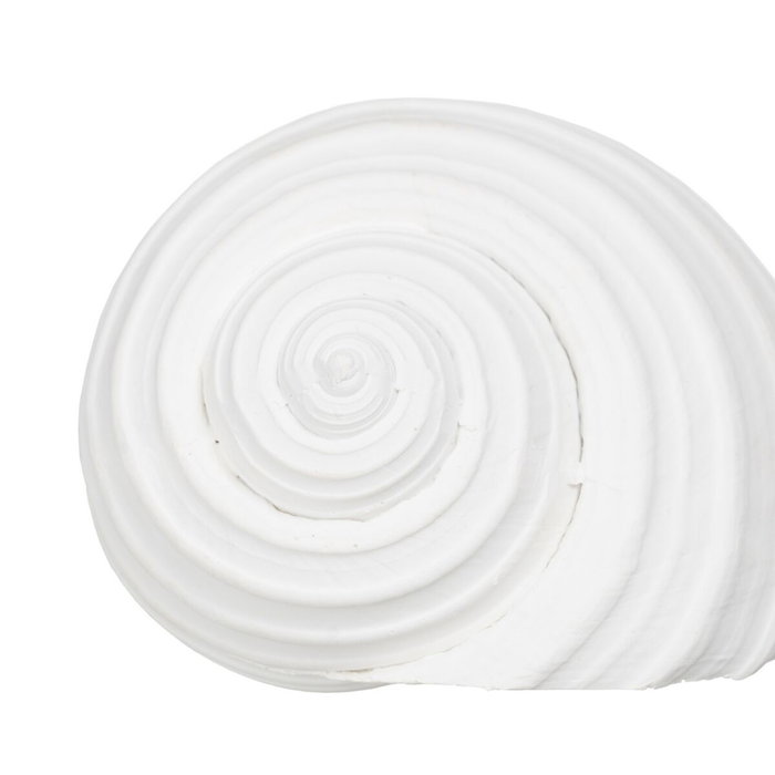 BigBuy Home Figurine Décorative Blanc Conque 11 x 9 x 8 cm
