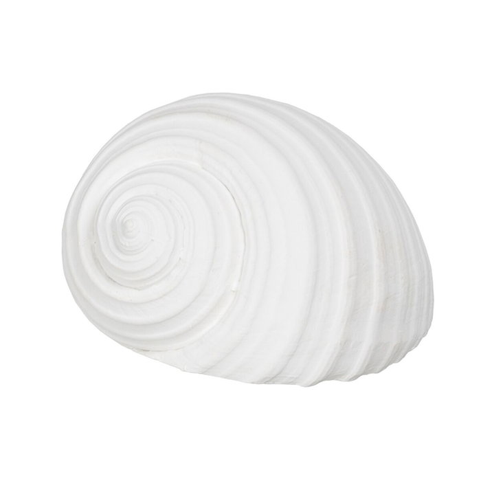 BigBuy Home Figurine Décorative Blanc Conque 11 x 9 x 8 cm