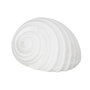 BigBuy Home Figurine Décorative Blanc Conque 11 x 9 x 8 cm