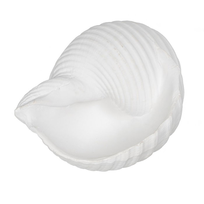 BigBuy Home Figurine Décorative Blanc Conque 11 x 9 x 8 cm