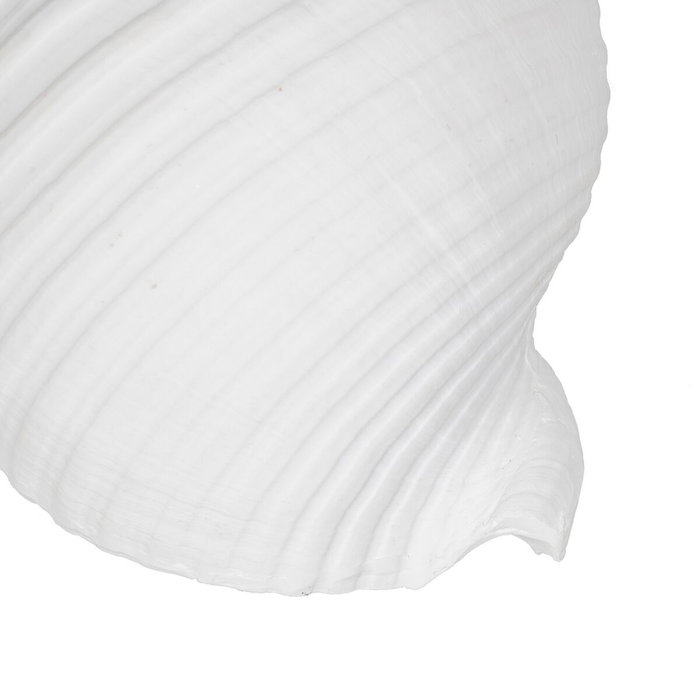 BigBuy Home Figurine Décorative Blanc Conque 11 x 9 x 8 cm