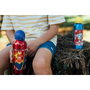 The Avengers Bouteille d'eau en Aluminium 530 ml