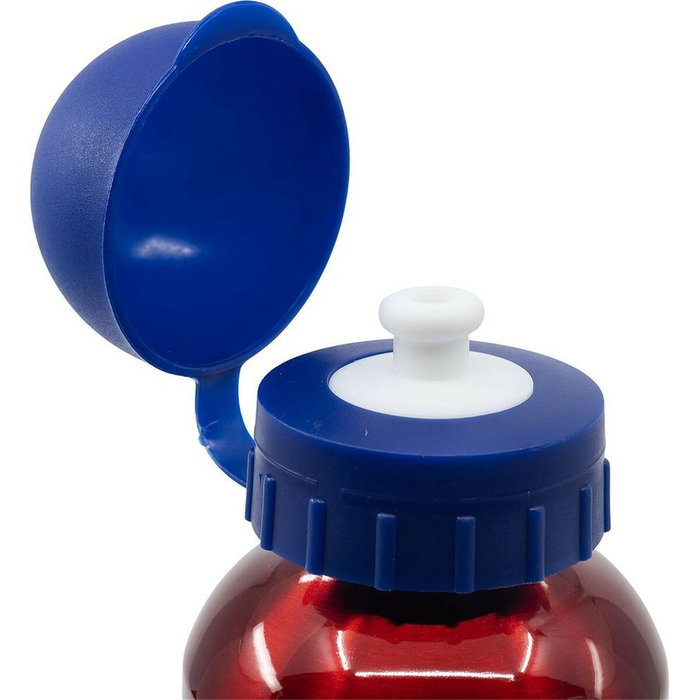 The Avengers Bouteille d'eau en Aluminium 530 ml