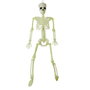 Décoration d'Halloween Squelette 82 cm Blanc