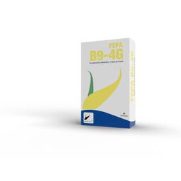 FEPADIET Fepa-Vitamina B9 Complément Alimentaire Acide Folique 40 Gélules