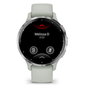 Montre intelligente Garmin Venu 3S 1,2"