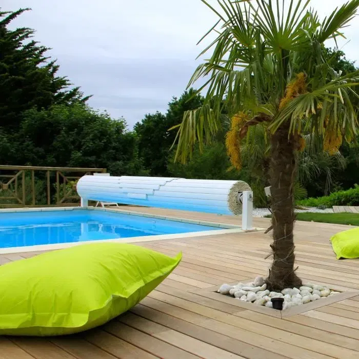 Fartools REX120C Réno'Flex - Rénovateur électrique 1300W, Brosse métallique 120mm - Pour bois, métal, pierre, béton, nettoyage, décapage, polissage