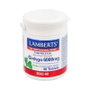 LAMBERTS Ginkgo Biloba 6000 mg 60 comprimés