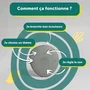 Morphée Galet Zen Méditation & Sophrologie 72 séances de 5 min Audio Français Écouteurs Inclus
