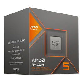 Processeur AMD Ryzen 5 8600G AMD AM5