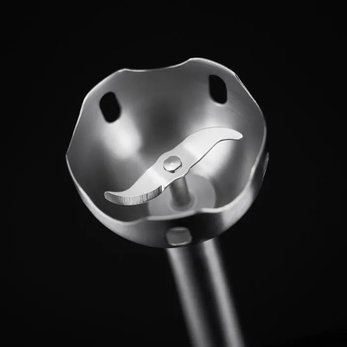 Mixeur plongeant Russell Hobbs 24690-56 500 W Rouge 500 W