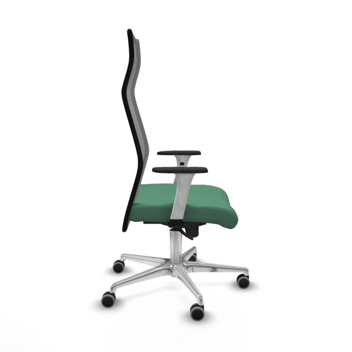 Piqueras y Crespo Chaise de Bureau Albacete Vert émeraude et Noir