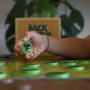 Jeu de société Back To The Jungle – Jeu éducatif et stratégique pour enfants dès 6 ans, famille