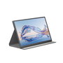 Denver PMO-18501 Moniteur Portable 18,5 pouces Full HD Gris