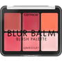 Catrice Palette Blur Balm Blush #010 Teinte Naturelle 6g