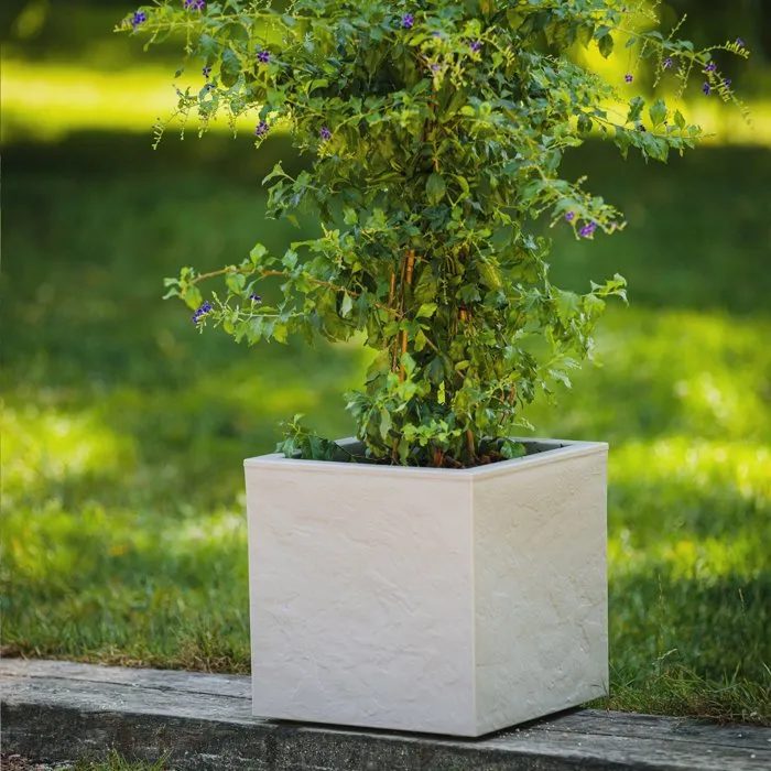 EDA Pot de fleurs Volcania Up - Bac Carré 30 cm, 21 L, Décor Pierre, Intérieur/Extérieur, Empilable, Beige Calcaire (29.5x29.5xH29.5 cm) EDA Pot de fleurs Volcania Up - Bac Carré 30 cm, 21 L, Décor Pierre, Intérieur/Extérieur, Empilable, Beige Calcaire (29.5x29.5xH29.5 cm)