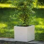 EDA Pot de fleurs Volcania Up - Bac Carré 30 cm, 21 L, Décor Pierre, Intérieur/Extérieur, Empilable, Beige Calcaire (29.5x29.5xH29.5 cm)
